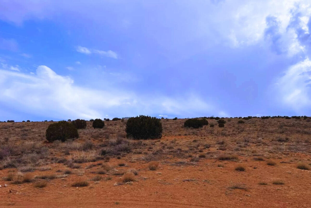 North of Highway - 9819 Navajo Lane, Snowflake, AZ 85937