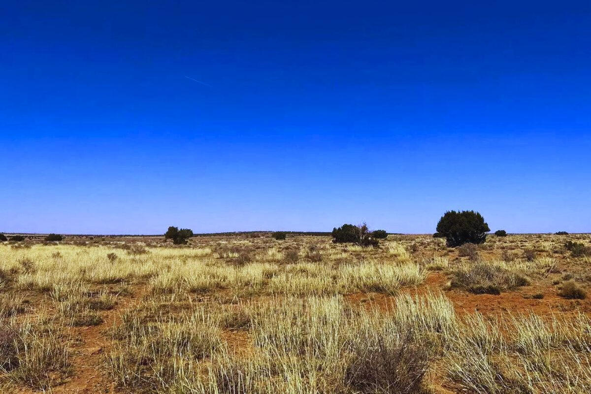 North of Highway - 9819 Navajo Lane, Snowflake, AZ 85937