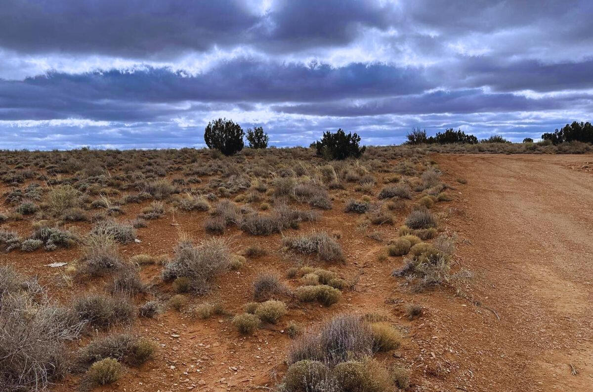 North of Highway - 9819 Navajo Lane, Snowflake, AZ 85937