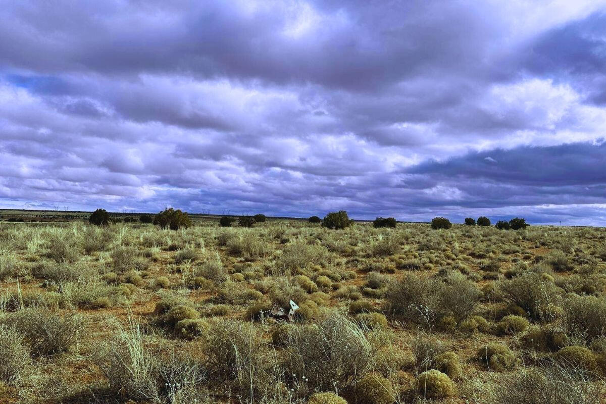 North of Highway - 9819 Navajo Lane, Snowflake, AZ 85937